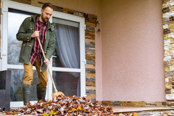 Best Electronics Removal Services  in Cutten, CA
